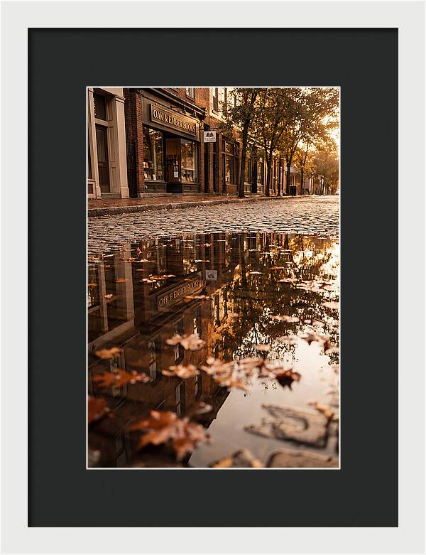 Storefront Reflection In Autumn Puddle