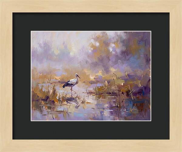 Stork In Serene Wetlands