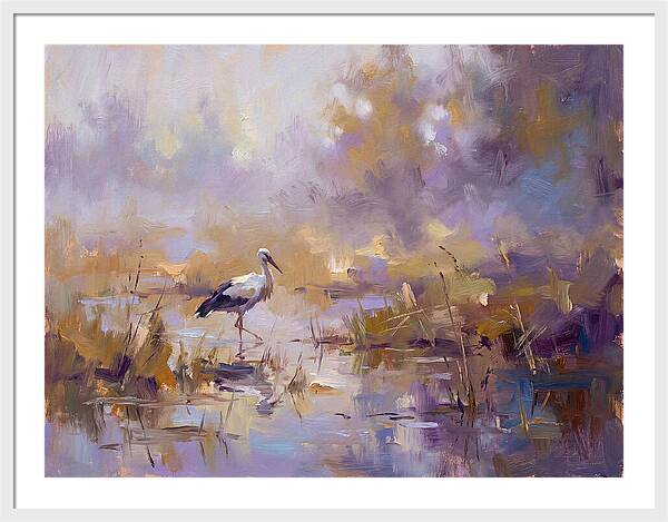 Stork In Serene Wetlands
