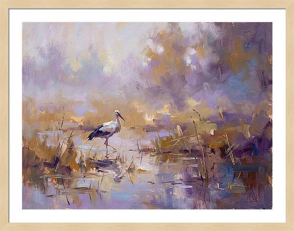 Stork In Serene Wetlands