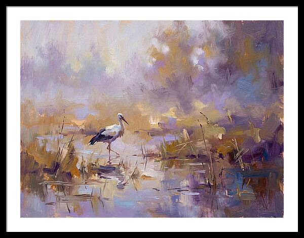 Stork In Serene Wetlands