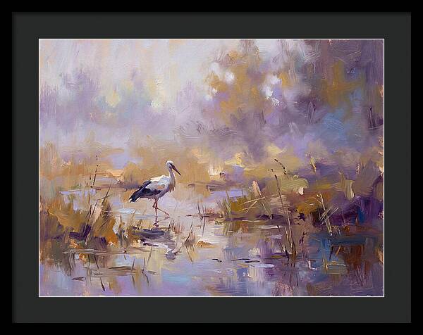Stork In Serene Wetlands