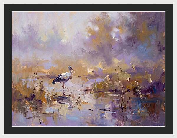 Stork In Serene Wetlands