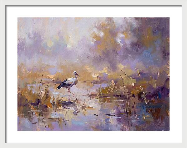 Stork In Serene Wetlands