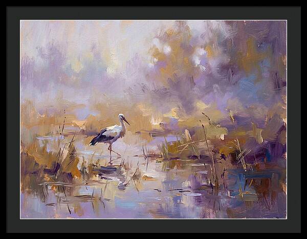 Stork In Serene Wetlands