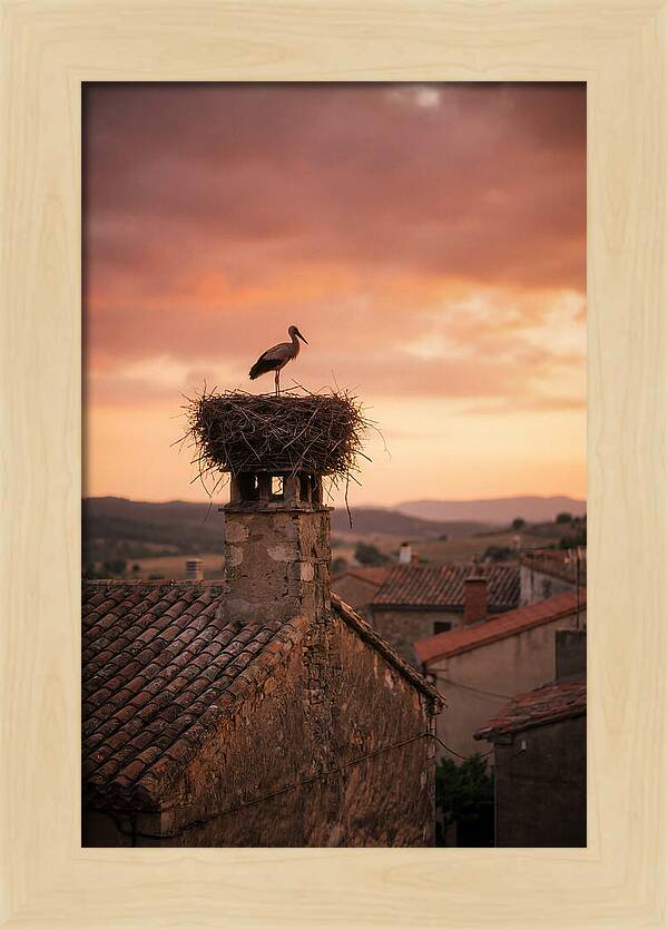 Stork Nesting At Sunset