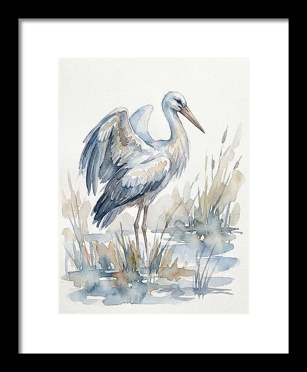 Stork Standing Gracefully