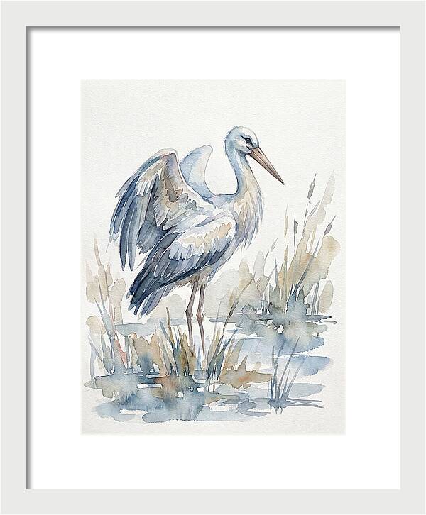 Stork Standing Gracefully
