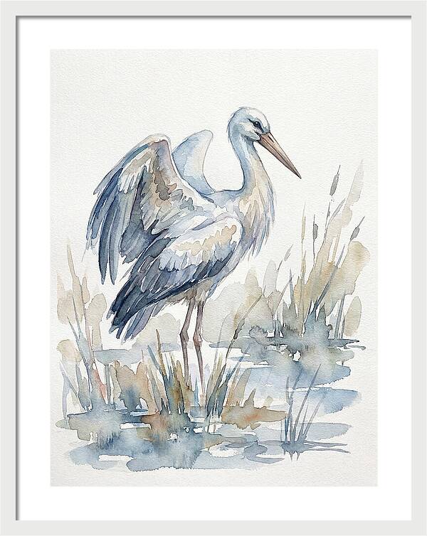Stork Standing Gracefully