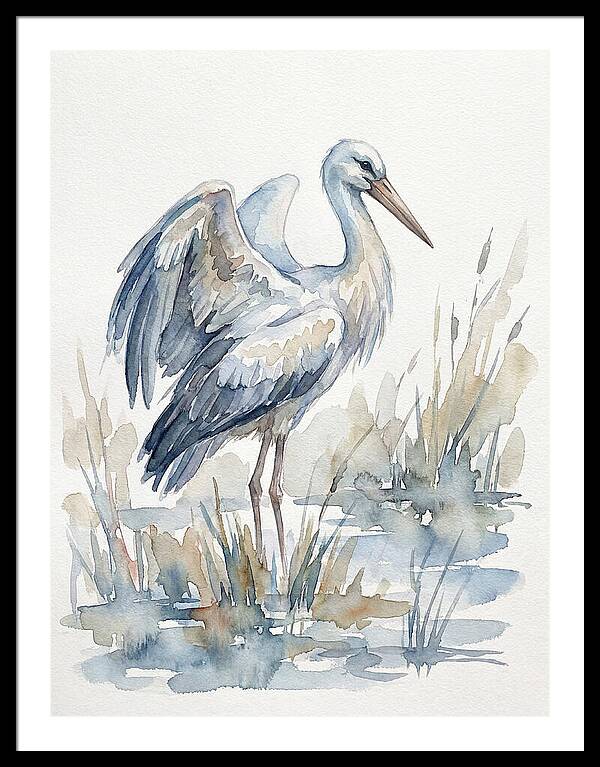 Stork Standing Gracefully