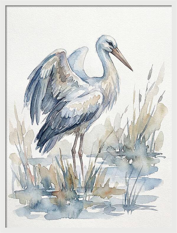 Stork Standing Gracefully