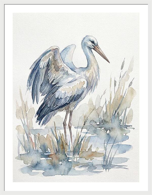Stork Standing Gracefully