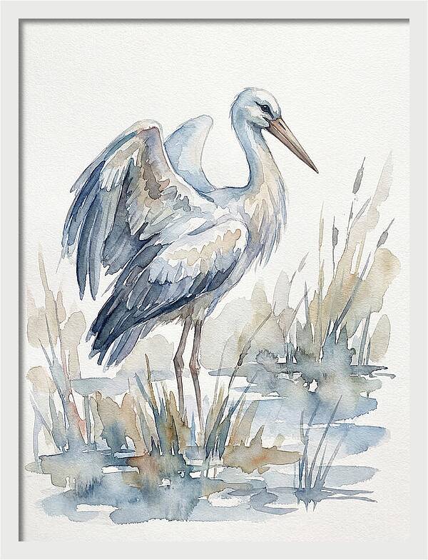 Stork Standing Gracefully
