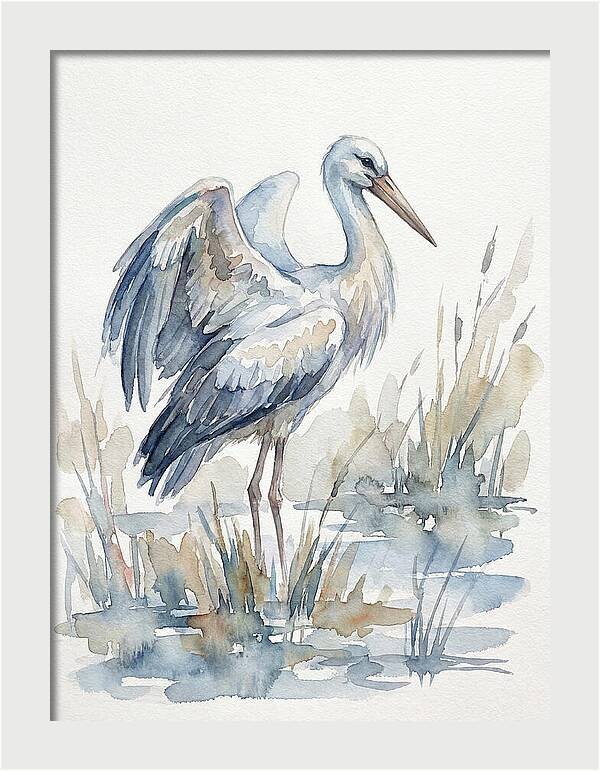 Stork Standing Gracefully