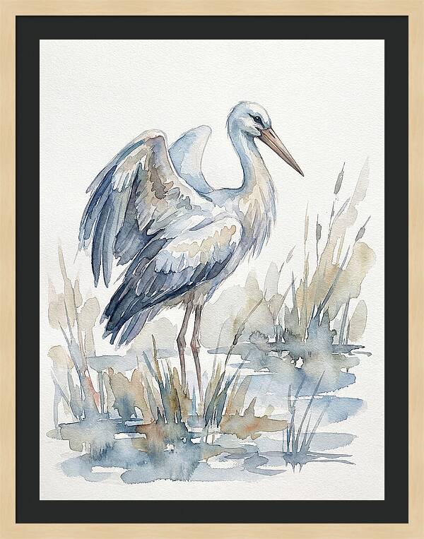 Stork Standing Gracefully