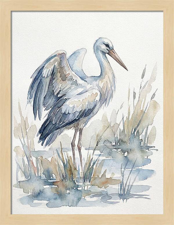 Stork Standing Gracefully