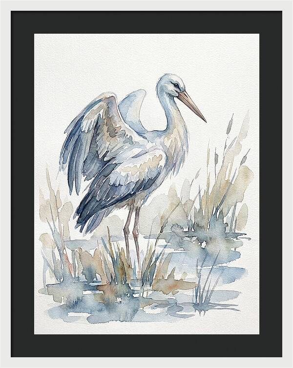 Stork Standing Gracefully