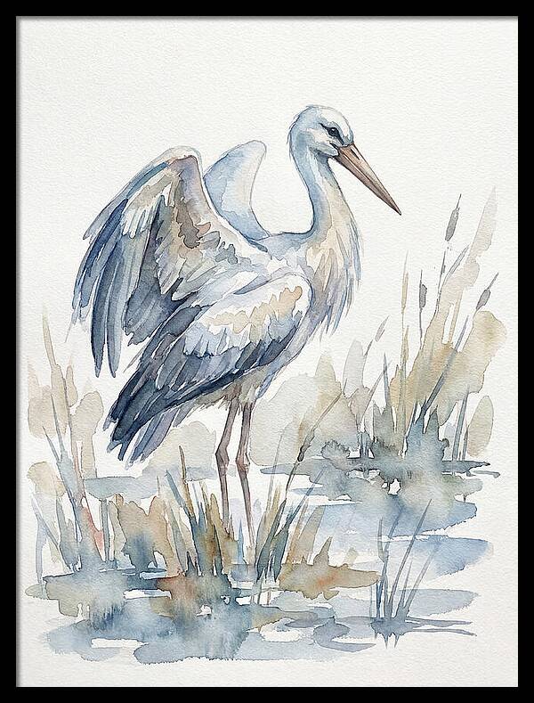 Stork Standing Gracefully
