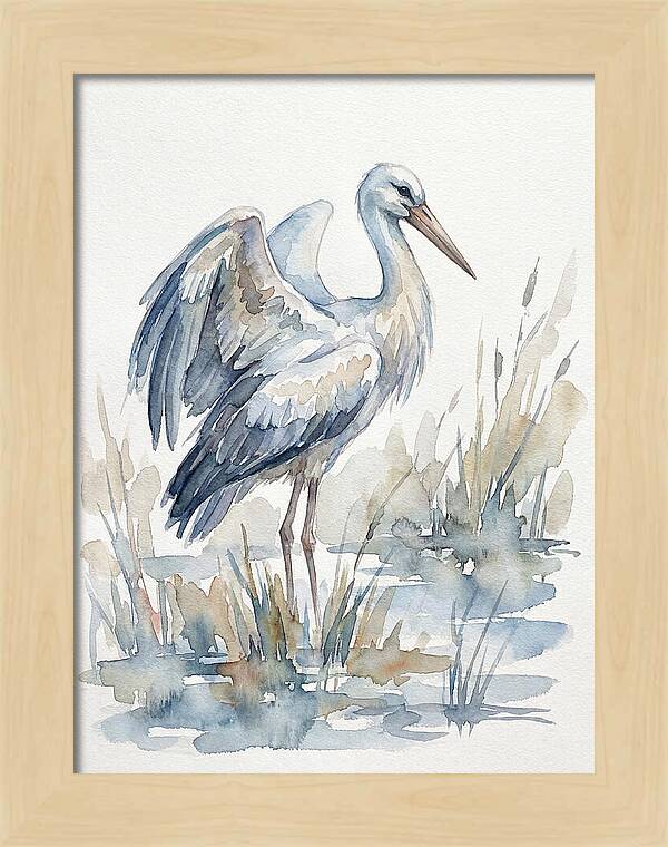 Stork Standing Gracefully