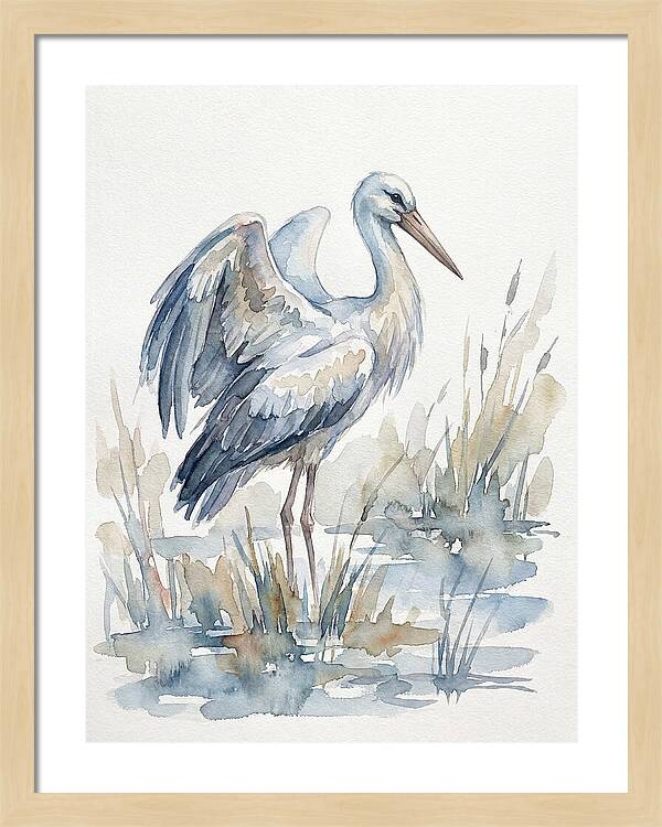Stork Standing Gracefully