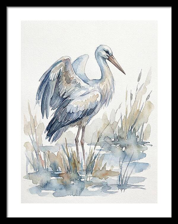 Stork Standing Gracefully