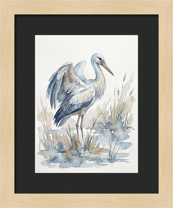 Stork Standing Gracefully