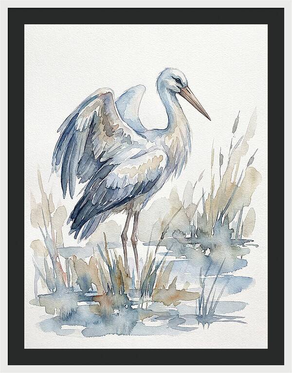 Stork Standing Gracefully