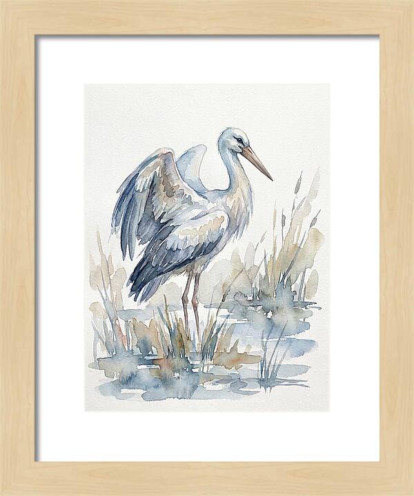 Stork Standing Gracefully
