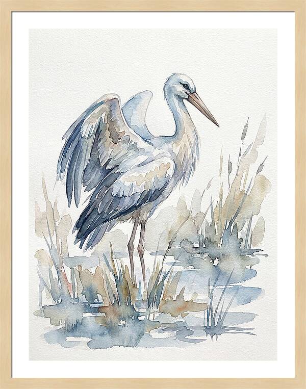 Stork Standing Gracefully
