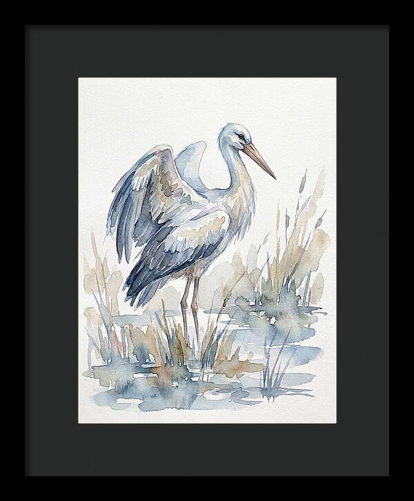 Stork Standing Gracefully