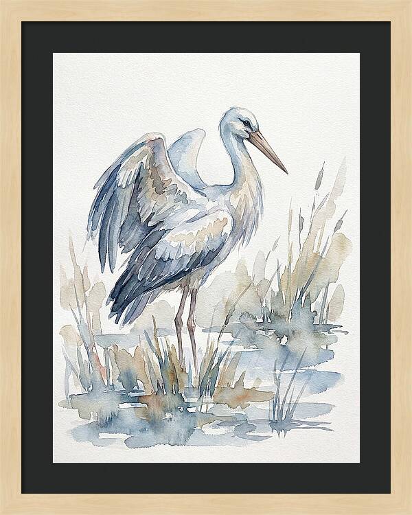 Stork Standing Gracefully
