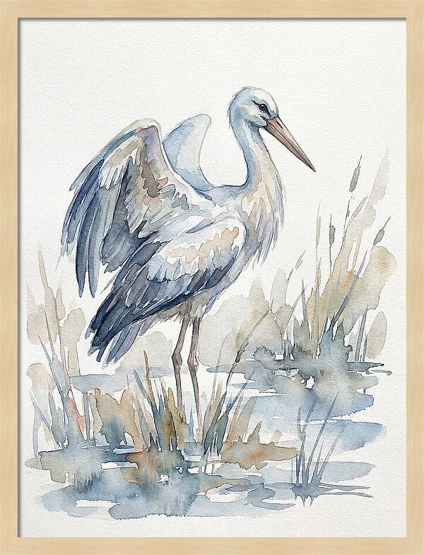 Stork Standing Gracefully