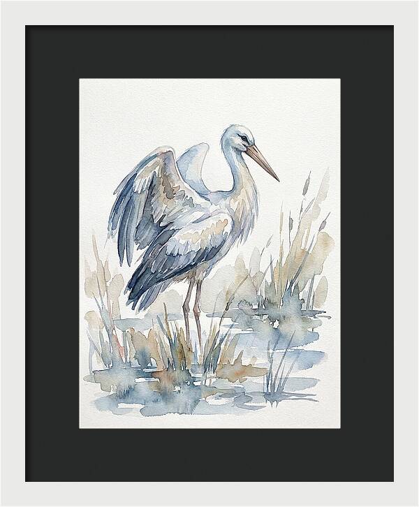Stork Standing Gracefully