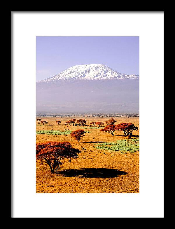 Stunning Kilimanjaro Above Amboseli