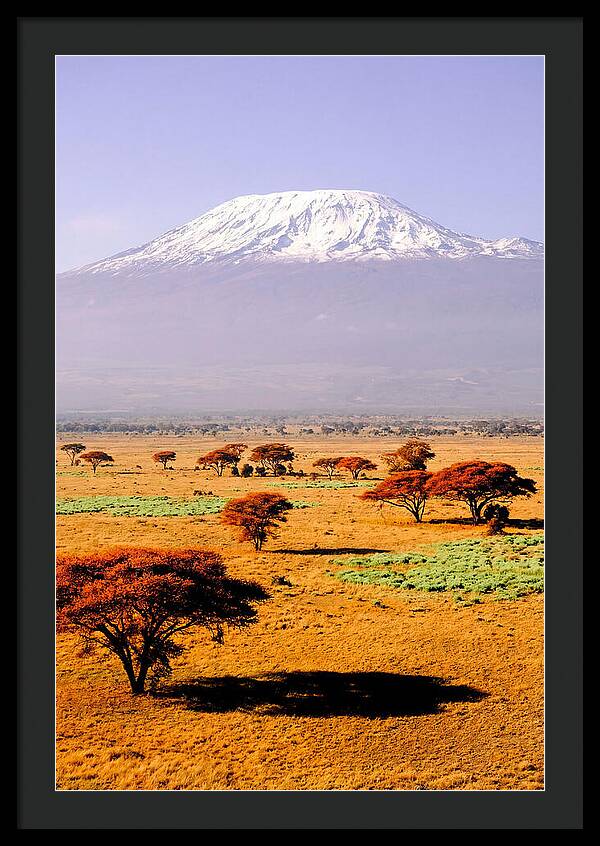 Stunning Kilimanjaro Above Amboseli