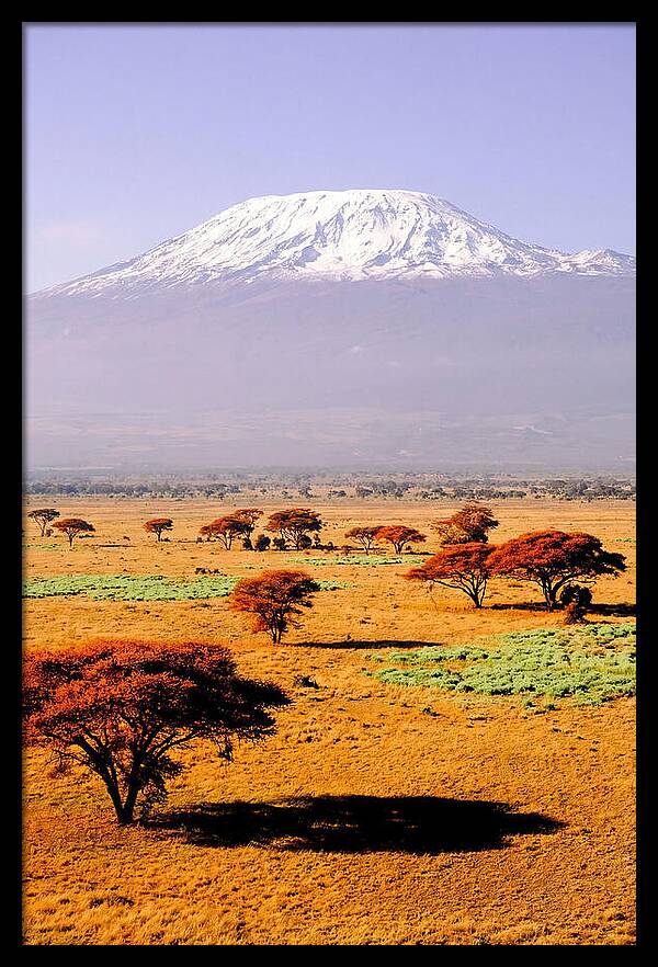 Stunning Kilimanjaro Above Amboseli