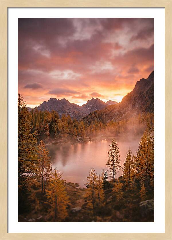 Subalpine Lake At Dusk