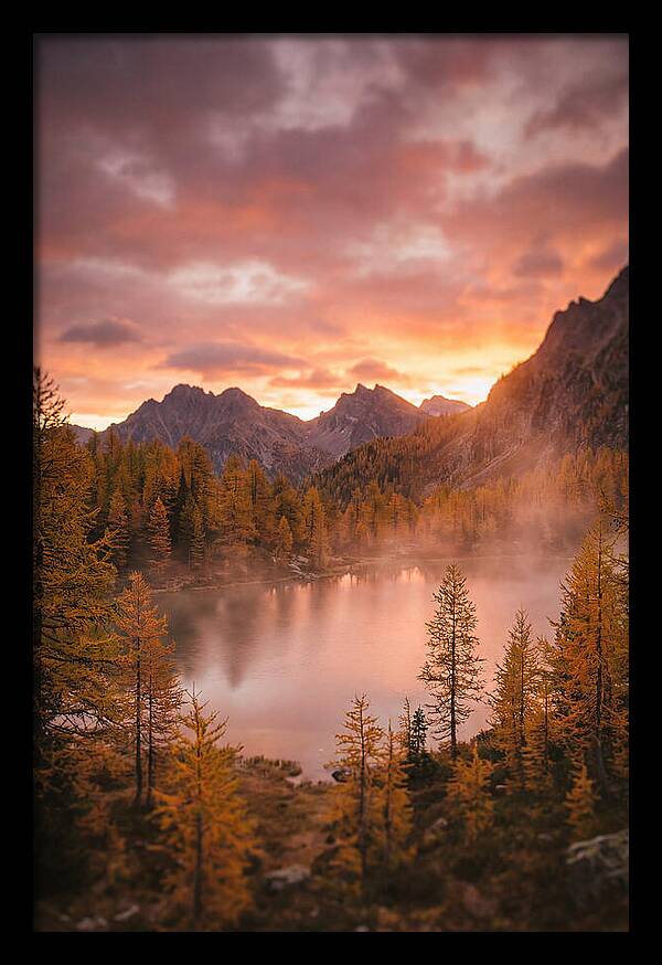 Subalpine Lake At Dusk