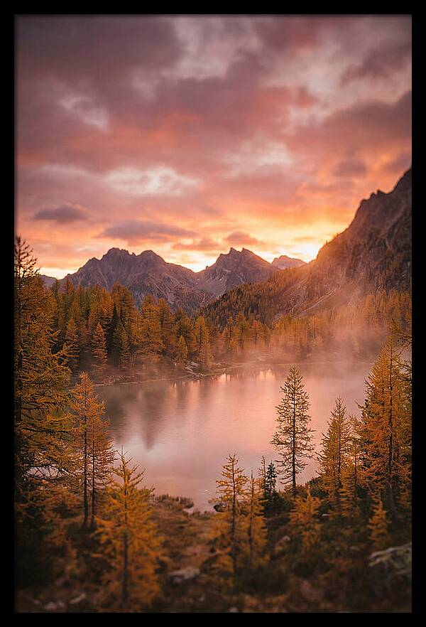 Subalpine Lake At Dusk