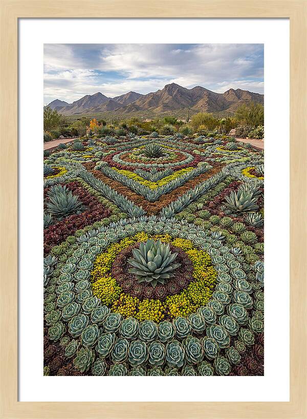 Succulent Garden Harmony