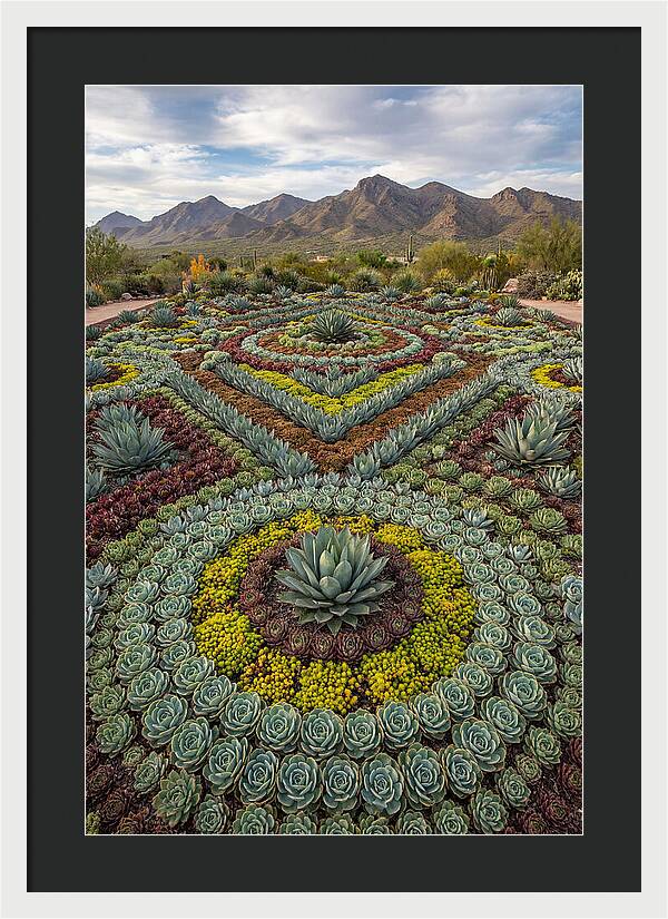 Succulent Garden Harmony