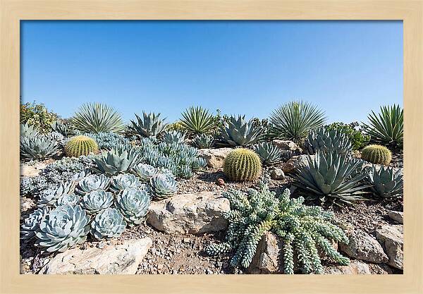 Succulent Garden Serenity