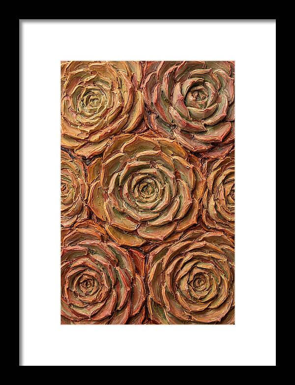 Succulent Rosette Arrangement