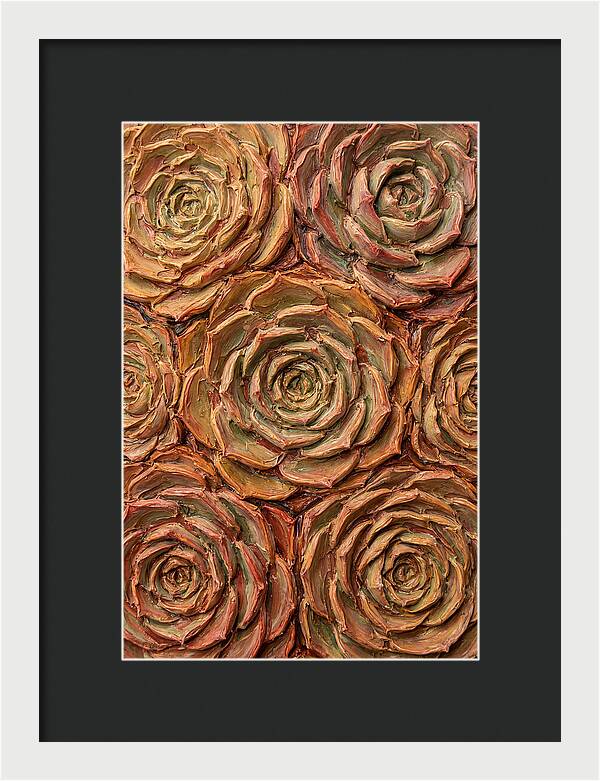 Succulent Rosette Arrangement
