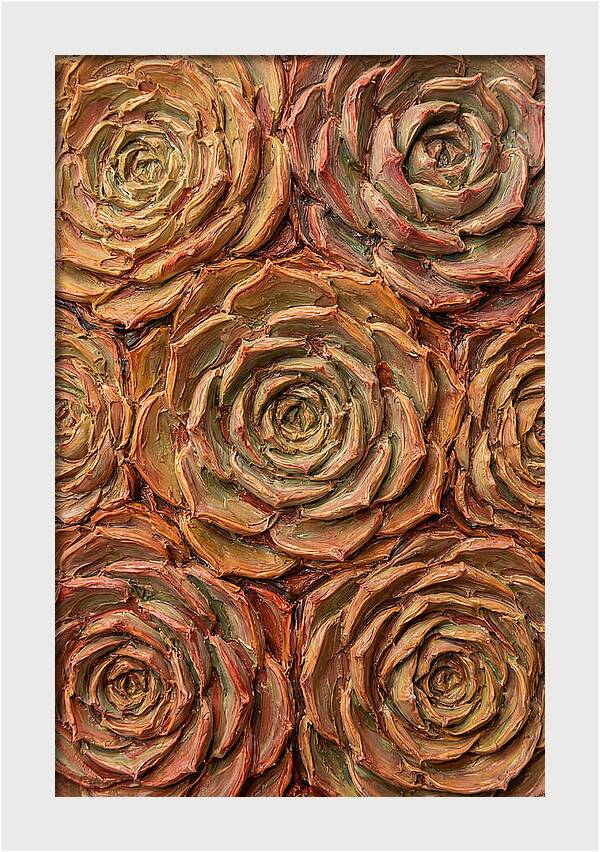 Succulent Rosette Arrangement