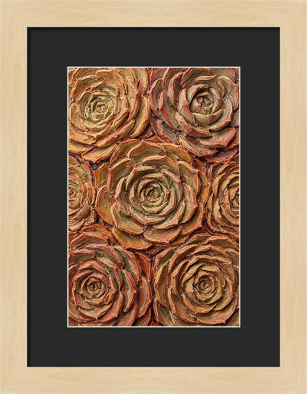 Succulent Rosette Arrangement