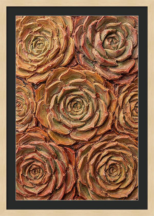 Succulent Rosette Arrangement