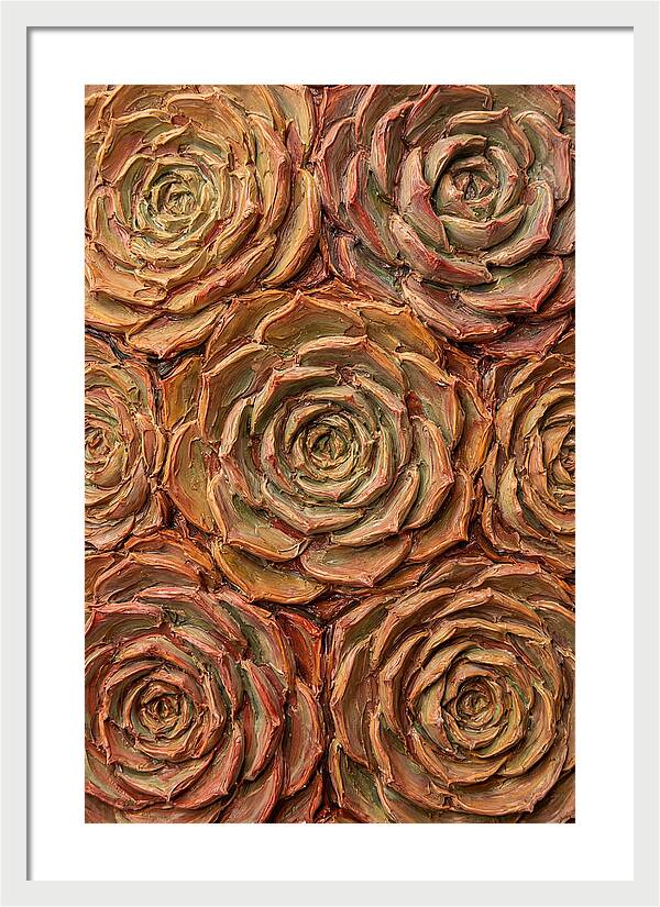 Succulent Rosette Arrangement