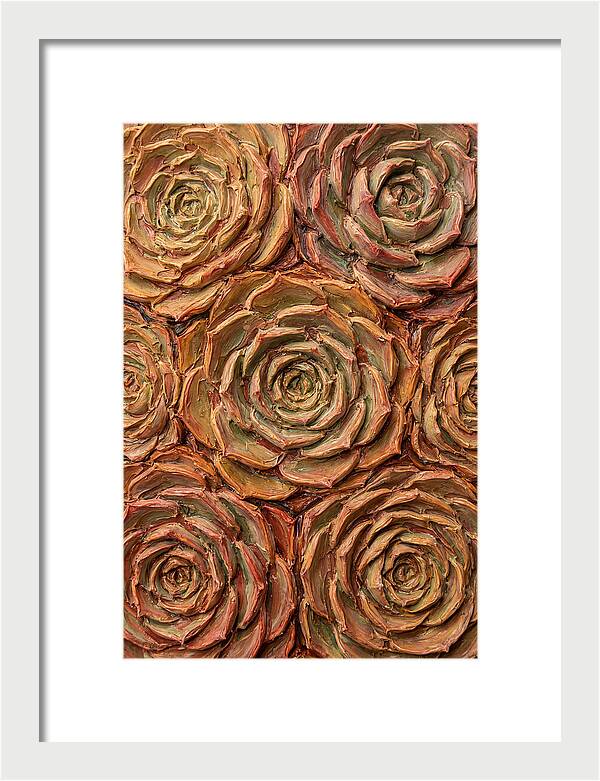 Succulent Rosette Arrangement