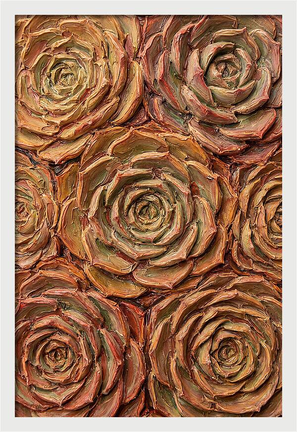 Succulent Rosette Arrangement